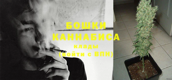твердый Богородицк