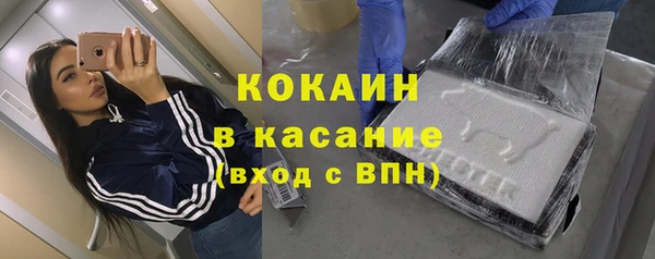 ECSTASY Богданович