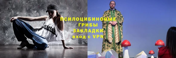 ECSTASY Богданович