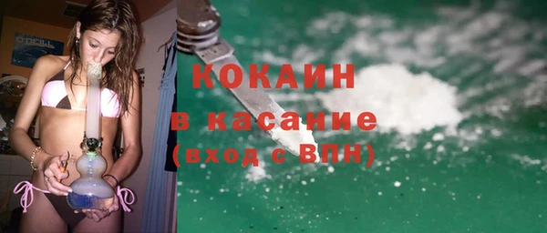 ECSTASY Богданович