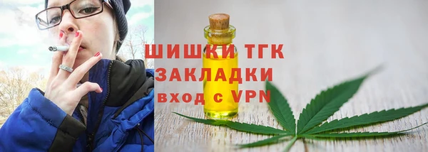 амф Богородск