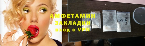 ECSTASY Богданович