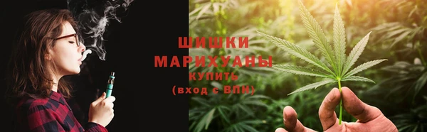ECSTASY Богданович