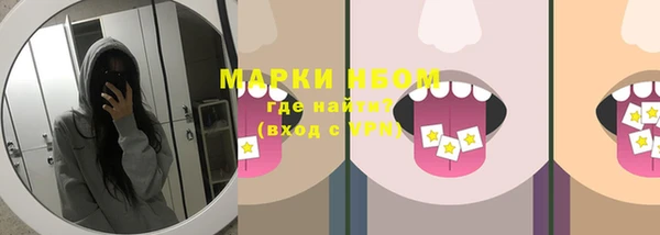 ECSTASY Богданович