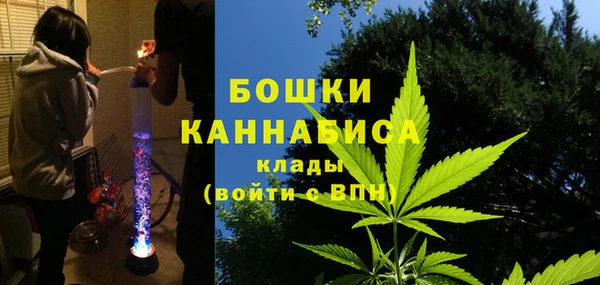 амф Богородск