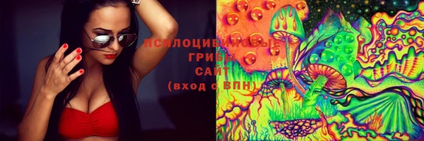 ECSTASY Богданович