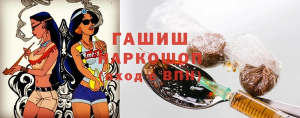 ECSTASY Богданович