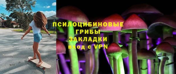 амф Богородск