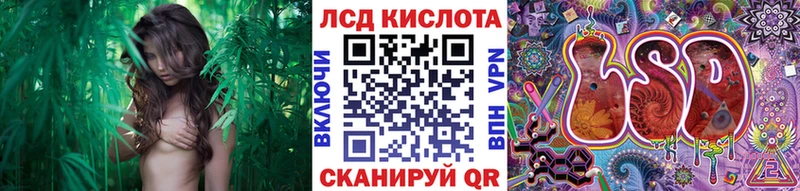 Марки NBOMe 1,8мг  Дмитриев 