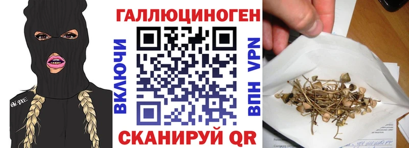 Псилоцибиновые грибы Magic Shrooms  Дмитриев 